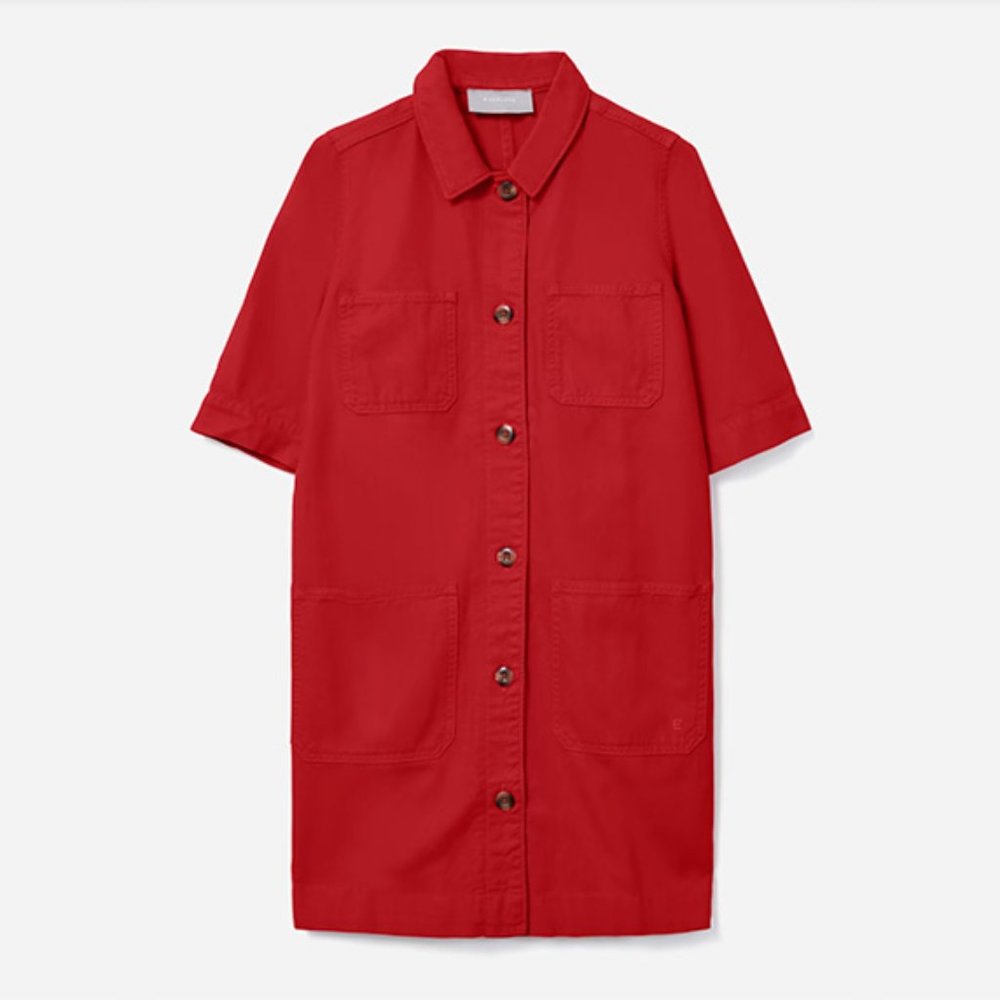 NEW! Everlane The Chore Mini Dress (Red/Ruby)